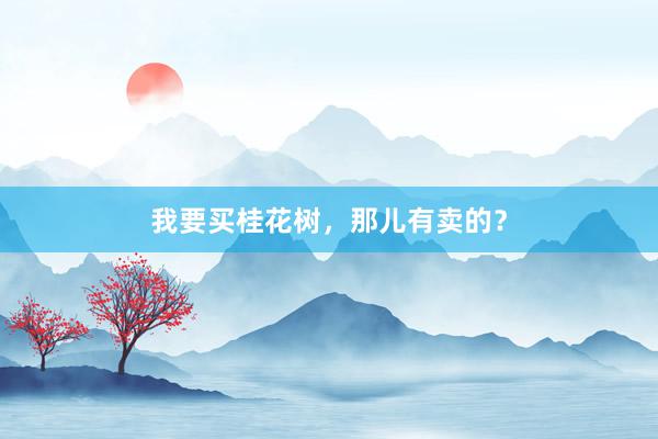 我要买桂花树，那儿有卖的？