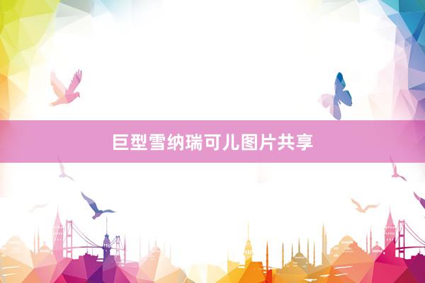 巨型雪纳瑞可儿图片共享