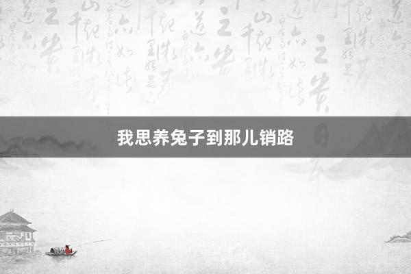 我思养兔子到那儿销路